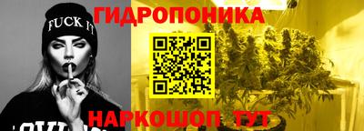 каннабис Кандалакша