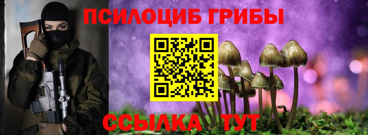 Галлюциногенные грибы Кашира